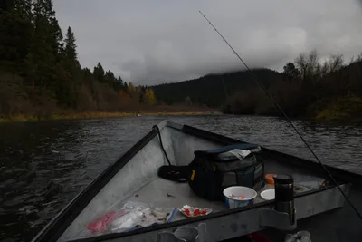 DSC_0203 (Large).JPG